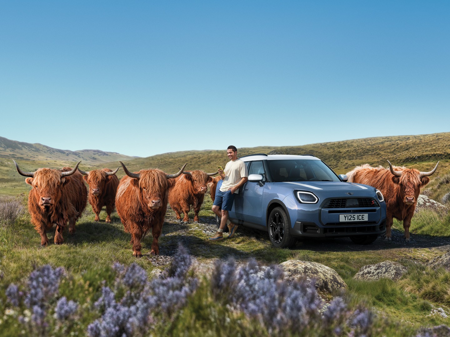 MINI personalised service appointments - a man typing on his phone next to a MINI